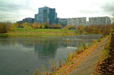 sonbaharda Moskova parkta gölet