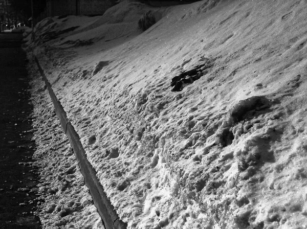 Paesaggio bianco e nero Mosca nella neve — Foto Stock