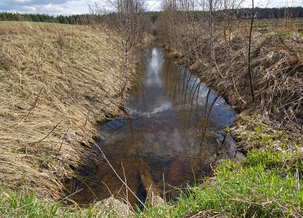 Velmi špinavý malá řeka na jaře — Stock fotografie