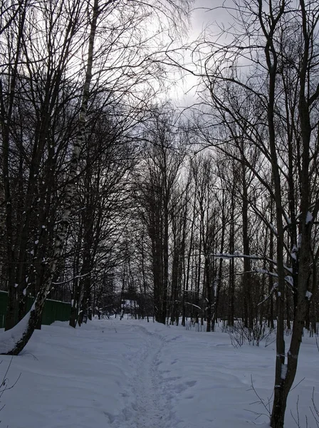 モスクワの冬の雪に覆われた公園 — ストック写真