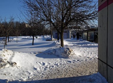 Moskova 'da kışın karla kaplı park