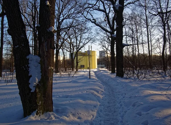 Parque cubierto de nieve de invierno en Moscú — Foto de Stock