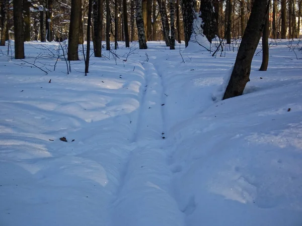 Winterpark met sneeuw in Moskou — Stockfoto