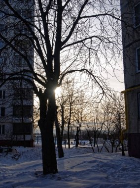 bahçede güneş ışığında bahar kar