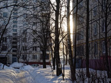 bahçede güneş ışığında bahar kar