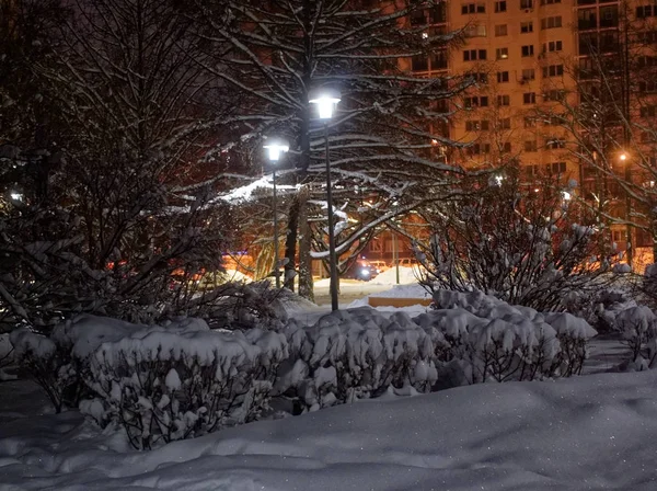 Gatubelysningen på natten på vintern — Stockfoto