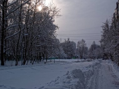bulutlu bir günde kış parkta ağaçların
