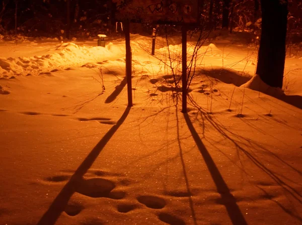 Kış geceleri sokak ışık — Stok fotoğraf