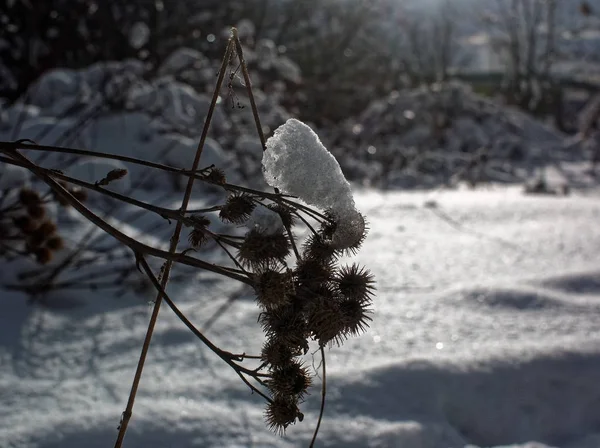 Dulavratotu çapak karla kaplı — Stok fotoğraf