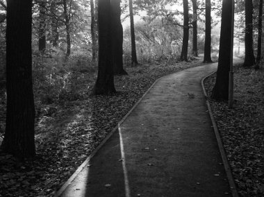 Yaz aylarında parkta Ağaçların gölgeleri