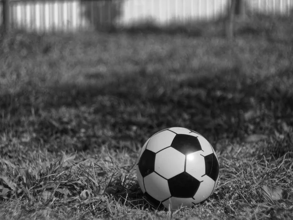 Резиновый футбольный мяч на траве летом — стоковое фото