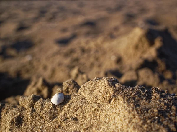 River sand on the shore in summer — Stock Photo, Image