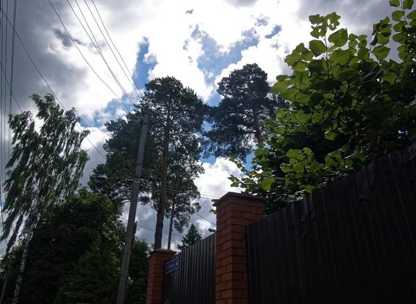 夏季城市式聚落中的夏季景观 — 图库照片