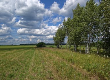 bulutlu bir günde yaz aylarında çimlere kesilmiş olan bir alana