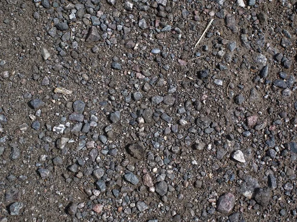 Дорога в деревне мелких камней летом — стоковое фото