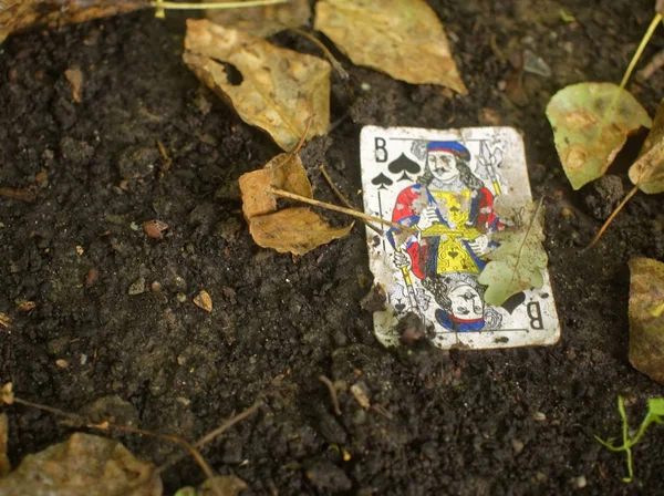 Hrací karta v blátě na zemi leží — Stock fotografie