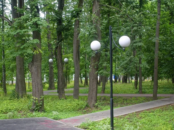 Lâmpada de rua no Parque contra uma árvore no verão — Fotografia de Stock
