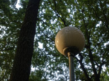 Yaz aylarında bir ağaç karşı parkta sokak lambası