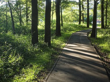 Yaz aylarında parkta ışık ışınları 