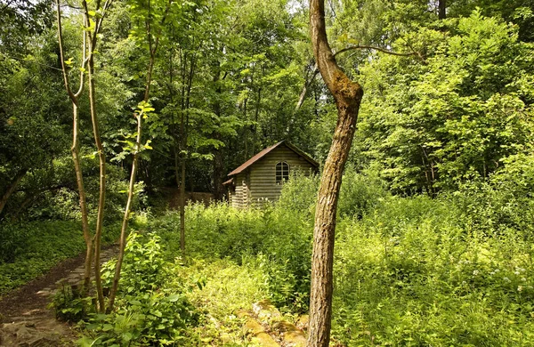 Vecchia cappella in legno nel bosco in estate — Foto Stock