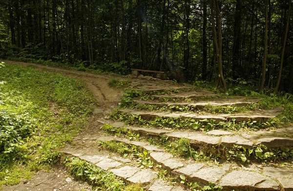 Escaleras de piedra en el bosque en verano —  Fotos de Stock
