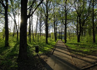 Sabahın erken saatlerinde Park ile döşeli yolu