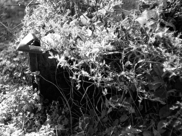 Old Barrel Trash Fall Garden Black White Photograph — Stock Photo, Image