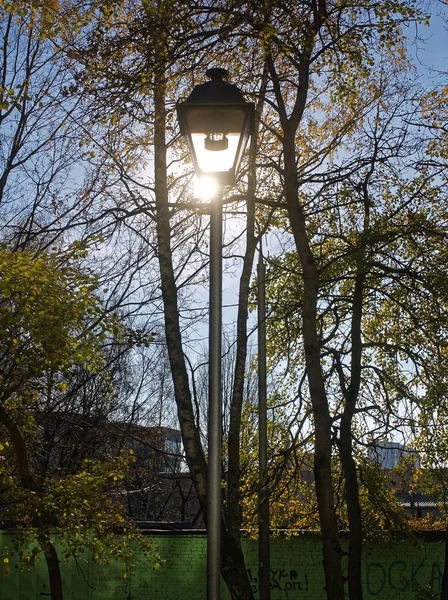 Вулична лампа на сонячний осінній день у парку — стокове фото