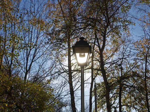 Katuvalaisin aurinkoisena syyspäivänä puistossa — kuvapankkivalokuva