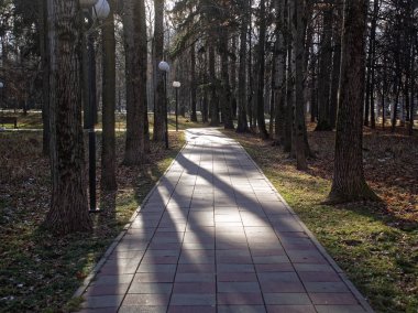 Parkta güneşli bir sonbahar günü