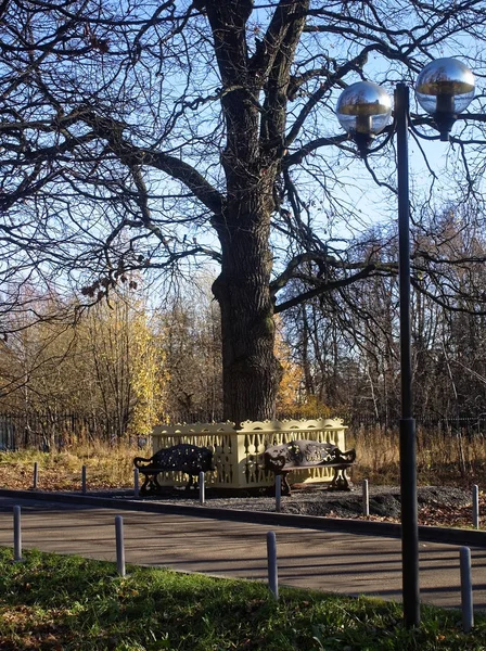 Mooie houten bankje in het Park in het najaar — Stockfoto