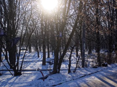 kış günü banliyöde Mosco temizleyin