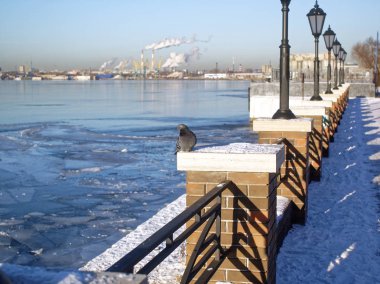 Kışın, bölge yazıcı Moskova Nehri çıkabilir Park