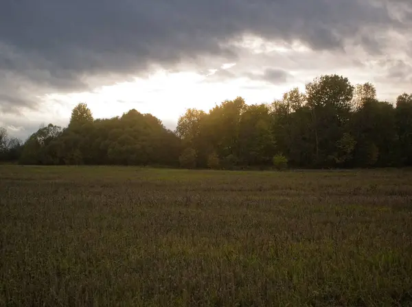 Colorido Atardecer Campo Otoño Russi —  Fotos de Stock