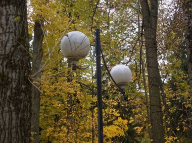 Güneşli bir günde sonbaharda Park, Mosco