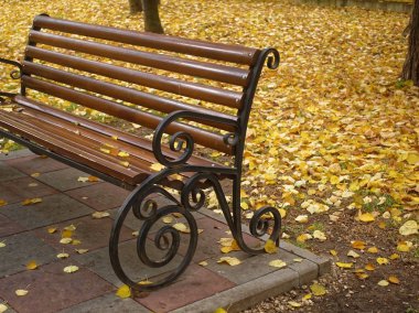 sonbaharda Park güzel ahşap tezgah, Mosco