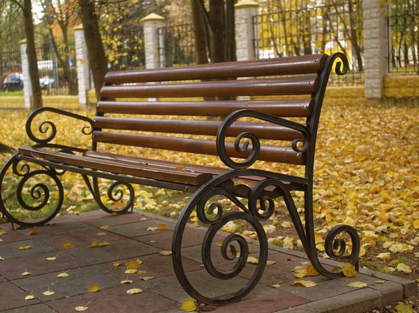 美丽的木制长凳在公园在秋天 莫斯科 — 图库照片