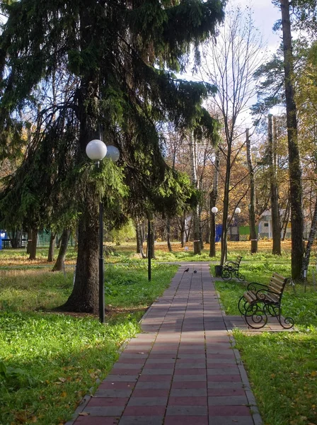 Lâmpada Rua Redonda Fundo Das Árvores Moscou — Fotografia de Stock