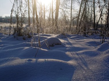 kışın Park'ta gölet kıyısı, Moskova