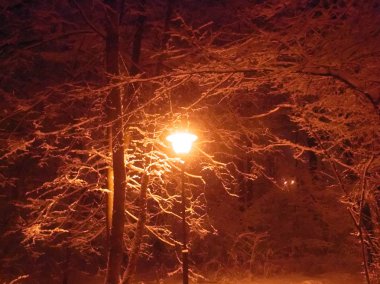 gece kış Park fener, Mosco