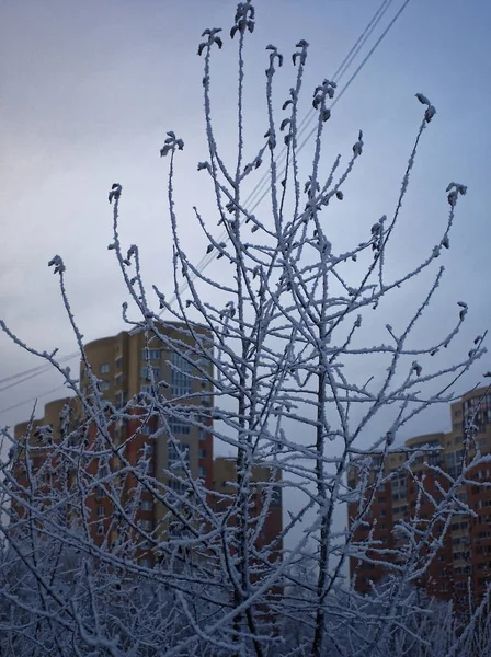 Novos Edifícios Altos Uma Pequena Cidade Inverno Russi — Fotografia de Stock