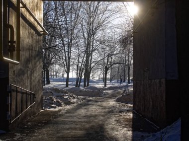 ağaçlar kışın evde kemer üzerinden görünümü, Mosco