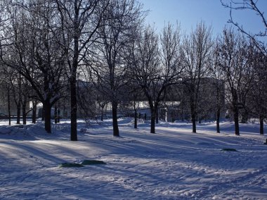 Kış Parkı açık bir günde, Mosco