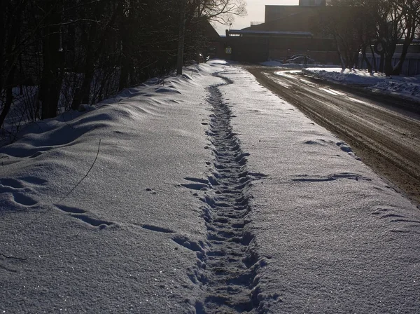 trail of footprints in the snow, Russi