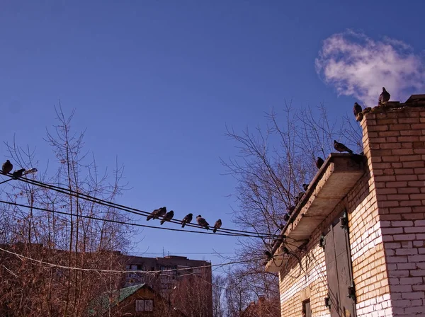 Aufgelassene Industriezone Einer Kleinen Stadt Winter Russland — Stockfoto