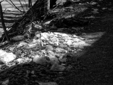 yol kenarında ev çöp bir sürü, Mosco