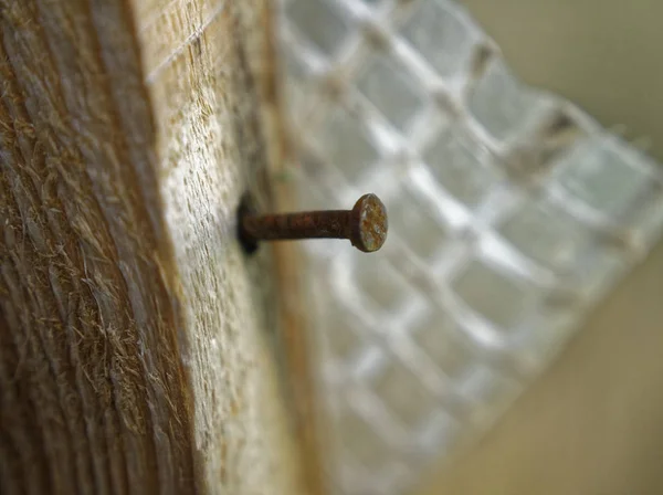 Pequeño Clavo Medio Clavado Madera Textura — Foto de Stock