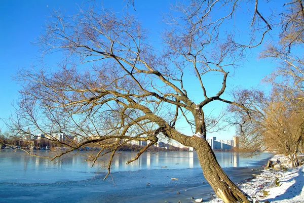 Kasım ayında Moskova nehri Bankası , Güney por