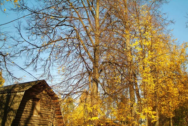 Ogród Jesienny Wieczór Wsi Russi — Zdjęcie stockowe
