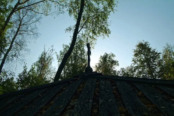 Ancienne Police Bois Dans Forêt Automne Russie — Photo